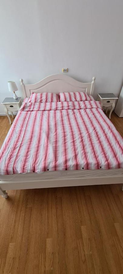 Stradela Cetatii Apartment Sighişoara Eksteriør bilde