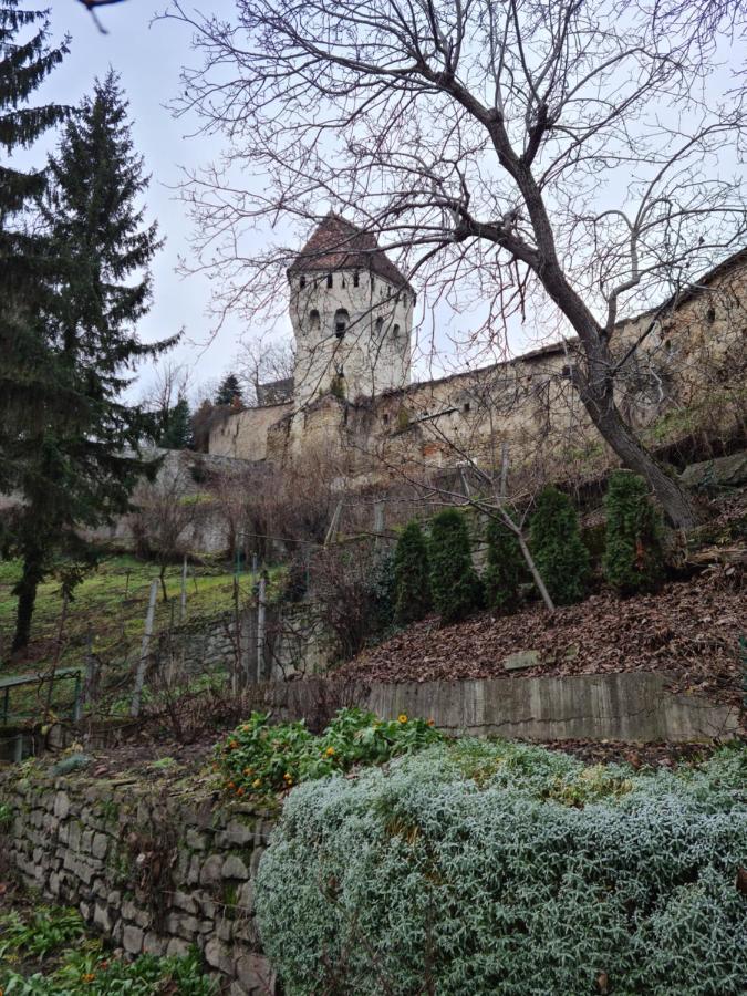 Stradela Cetatii Apartment Sighişoara Eksteriør bilde