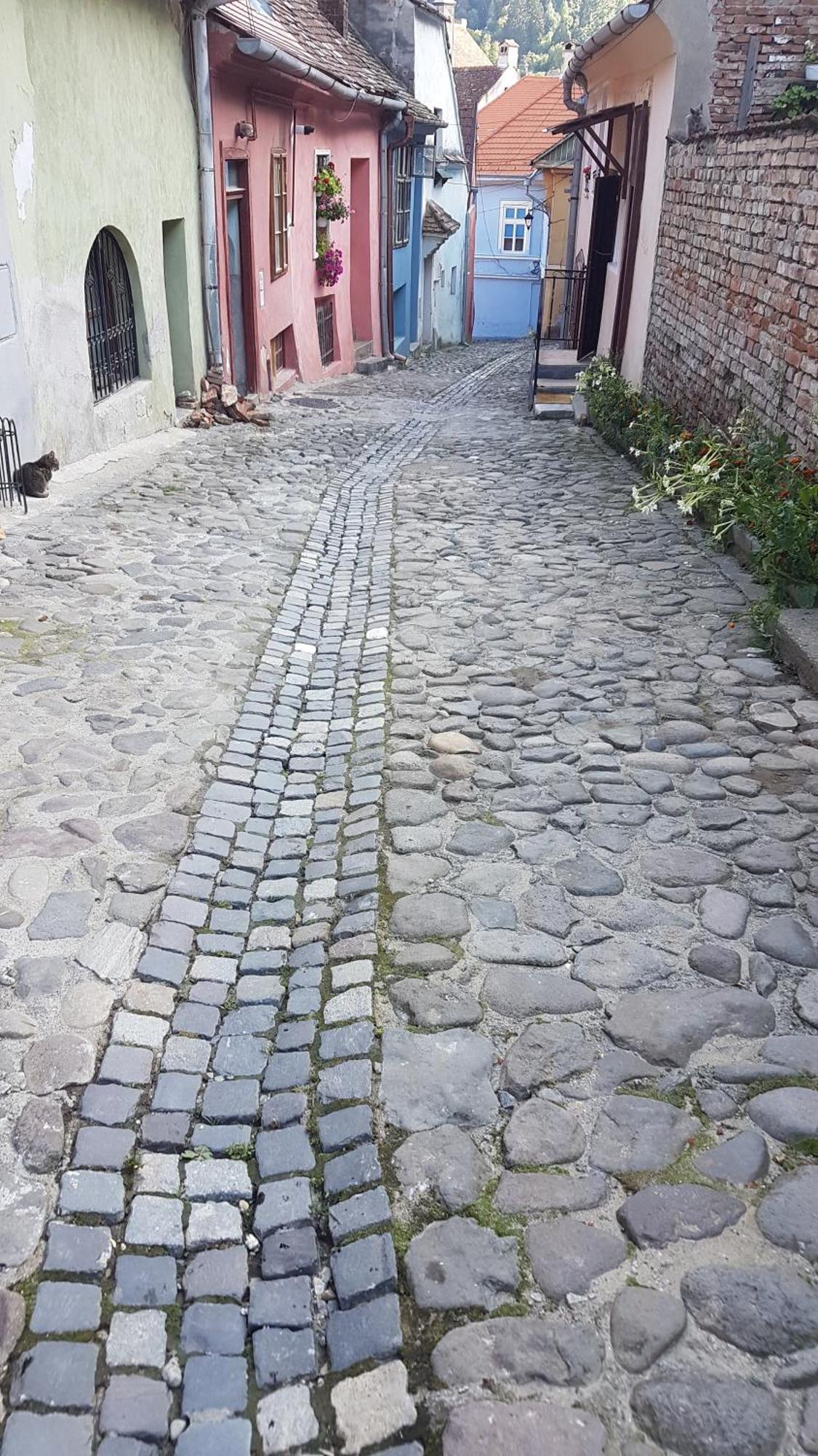 Stradela Cetatii Apartment Sighişoara Eksteriør bilde